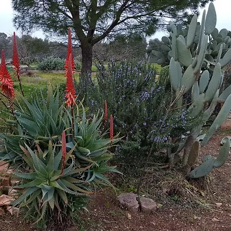 Trullo Peppelilla * Carovigno