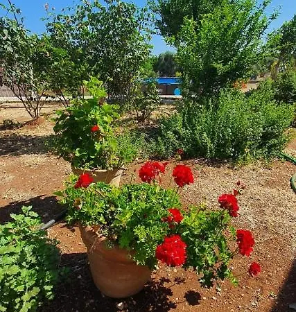 Trullo Peppelilla *