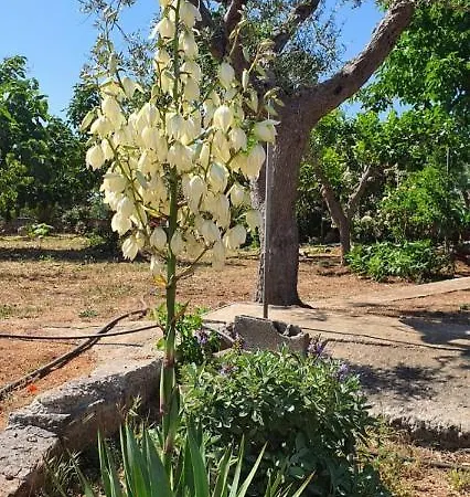 別荘 Trullo Peppelilla