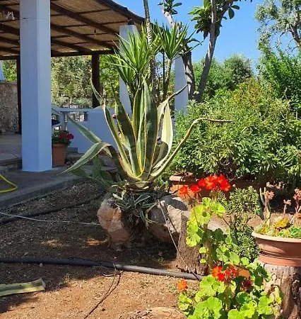 Trullo Peppelilla Holiday home Carovigno