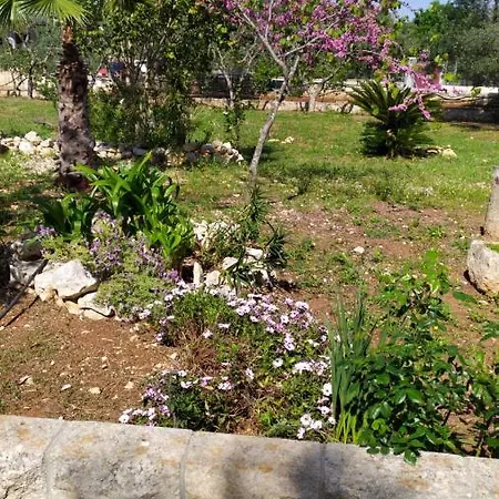 Trullo Peppelilla Holiday home *