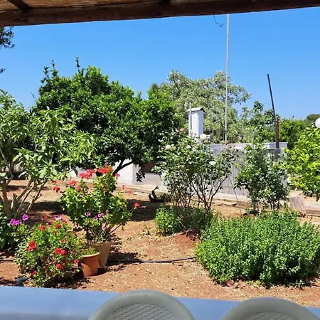 Trullo Peppelilla Holiday home