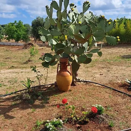 Holiday home Trullo Peppelilla *