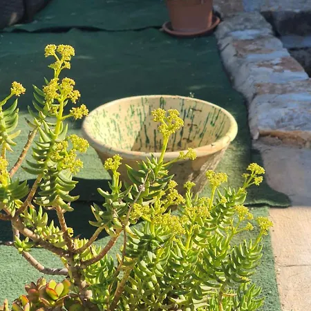 Holiday home Trullo Peppelilla Carovigno