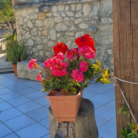 Trullo Peppelilla Holiday home Carovigno